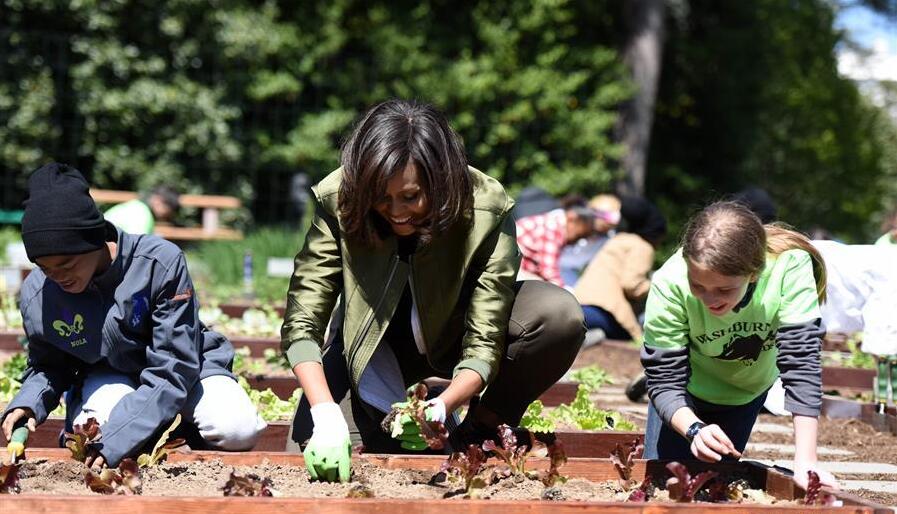 白宫菜园开种 第一夫人带学生种菜