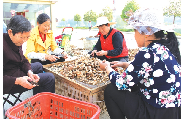 随县环潭镇镇将317个贫困户列入扶持种植香菇产业脱贫户